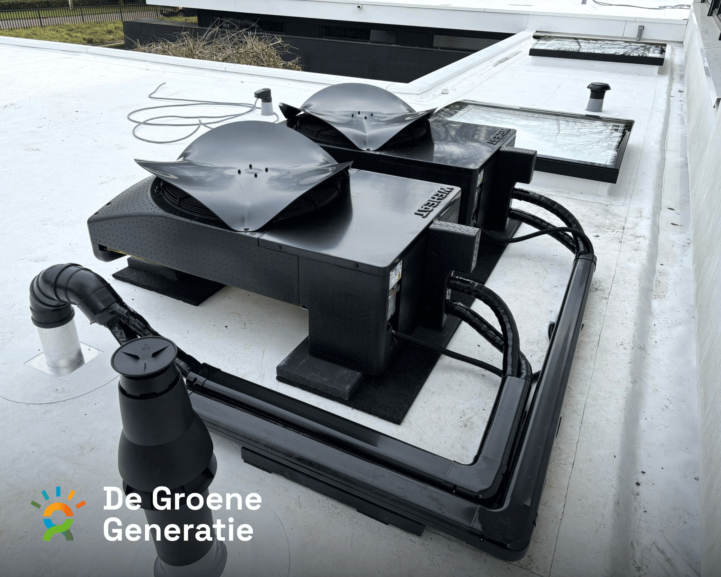 DGG Weheat 32 - De Groene Generatie